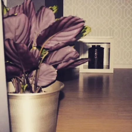 Lisbon Apartment